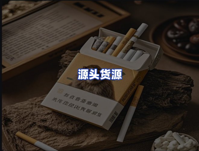 专业团队